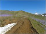 Kraljev hrib - Gradišče (Velika planina)